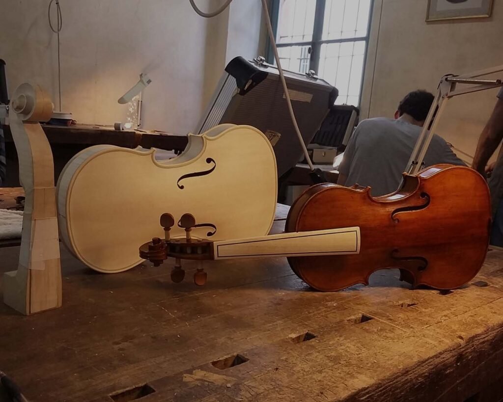violin ergonomico